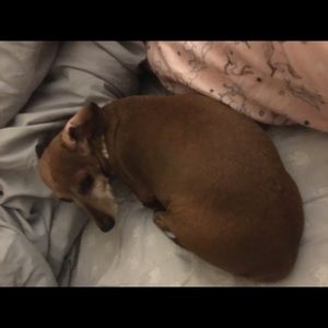 Meet your Posher, Cary